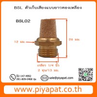 BSL02 รูปโชว์